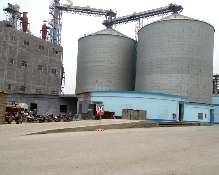 Shandong concentrated feed model project